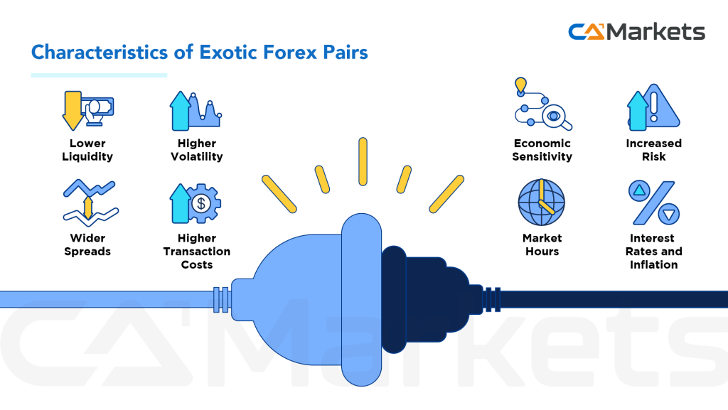 Understanding of Exotic Pairs and How to Trade Effectively